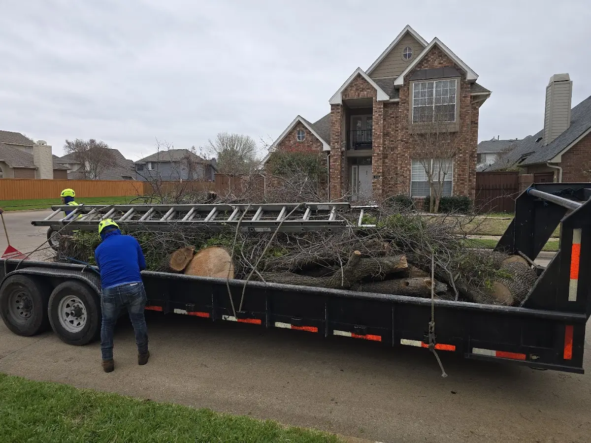 Expert Lot Clearing with proper safety equipment in Ferguson